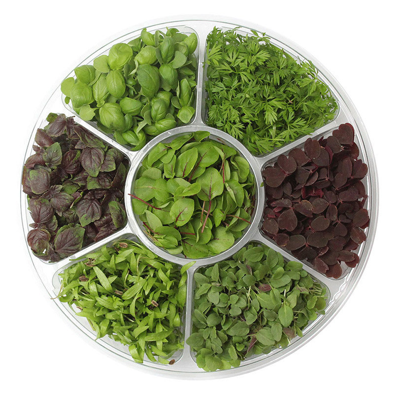 Micro Cress Wheel Selection