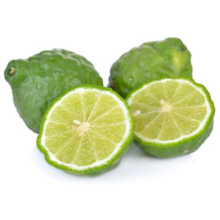 Kaffir Lime (Combava) Baches