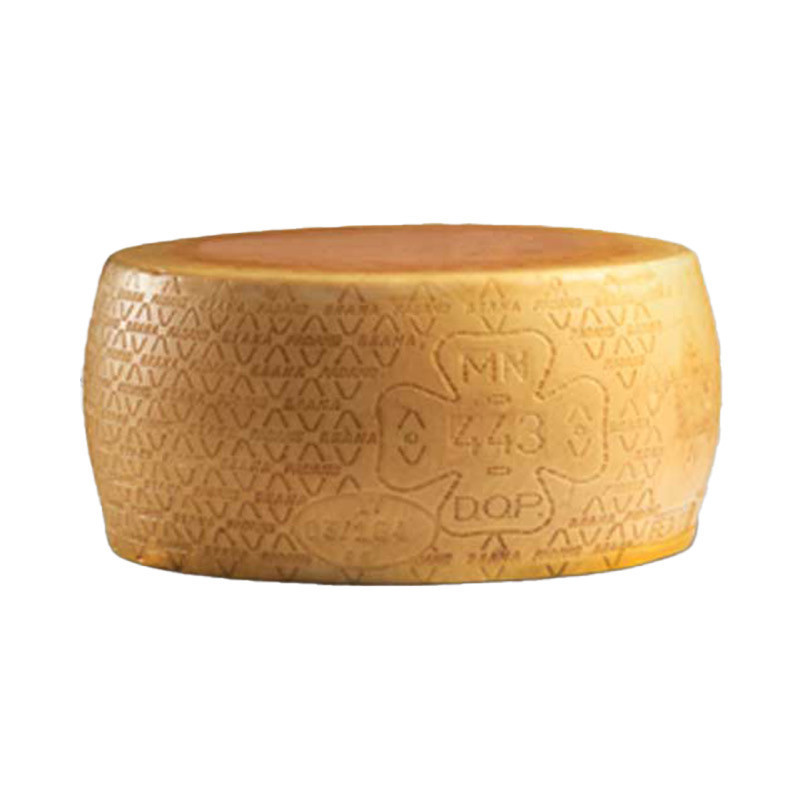 Grano Padano Parmesan