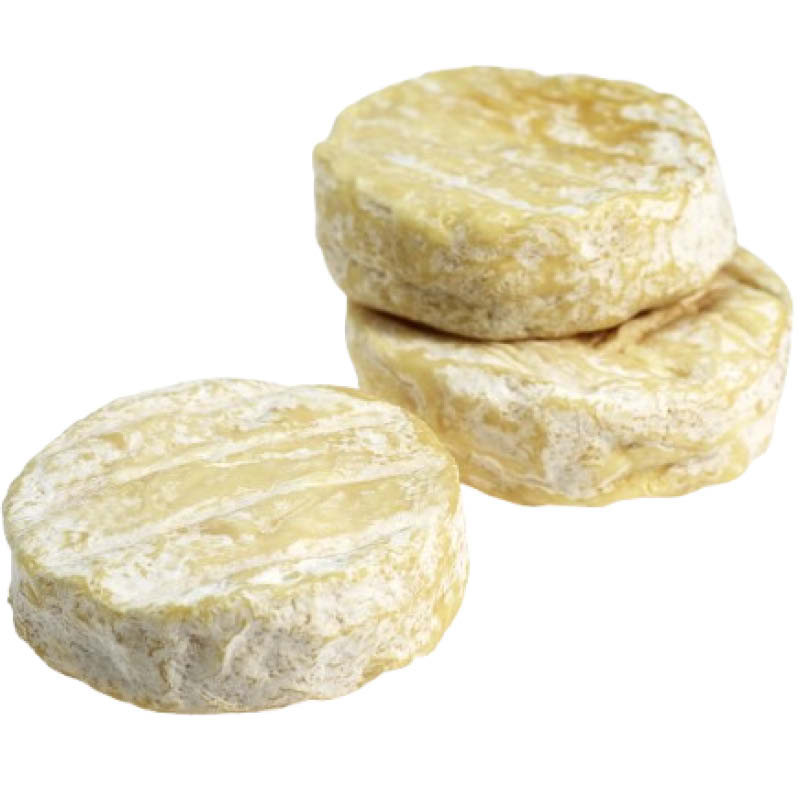 Saint Marcellin Unpasteurized Cheese