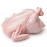 Free Range Beech Ridge Farm Large Chicken