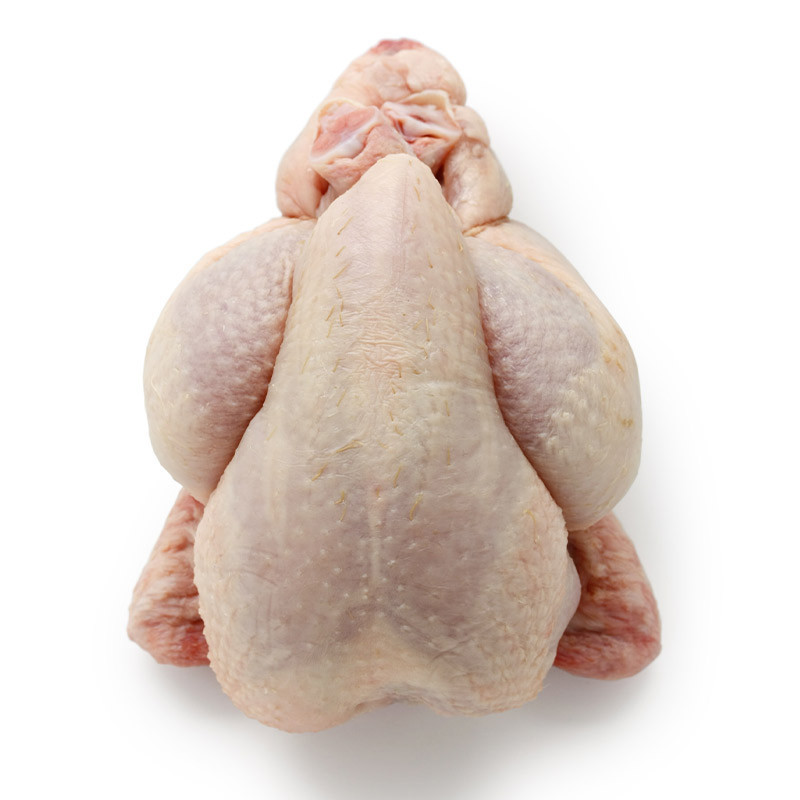 Whole Poussin
