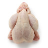 Whole Poussin
