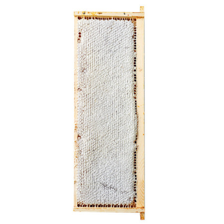 The London Honey Company Borage Honeycomb