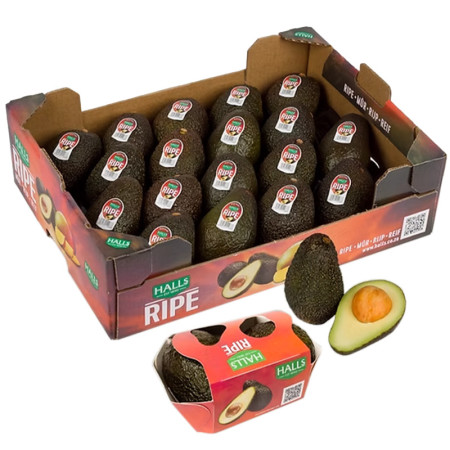 Box Avocado Halls