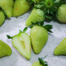 Green Strawberries