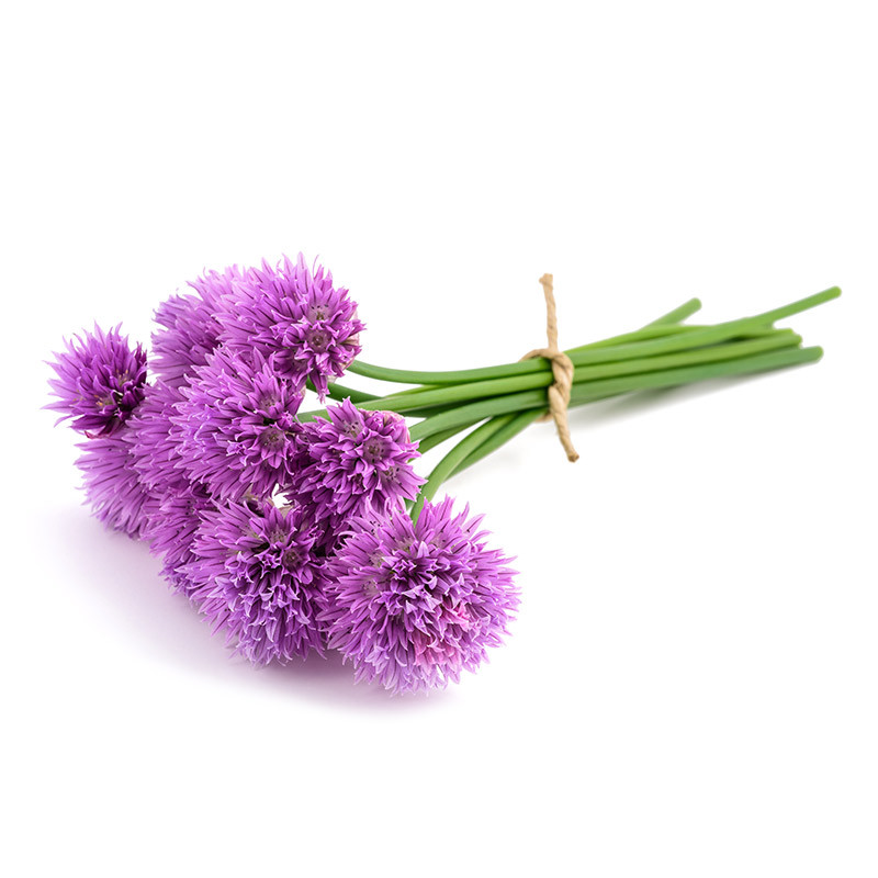 Chive Flower