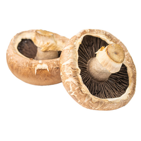 Portobello Mushrooms