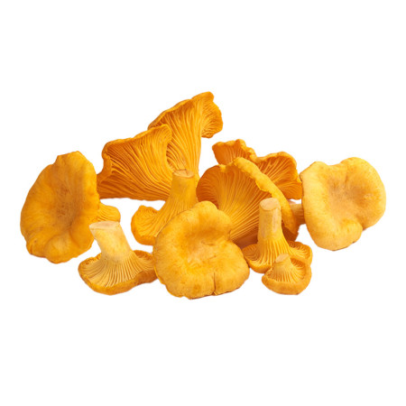 Girolles Mushrooms