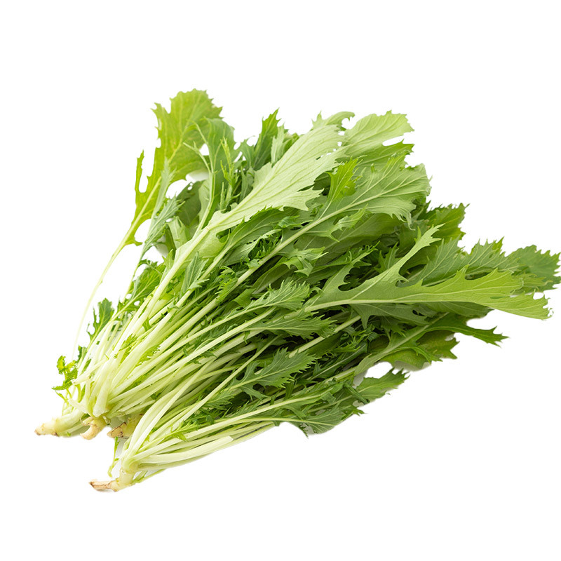 Mizuna