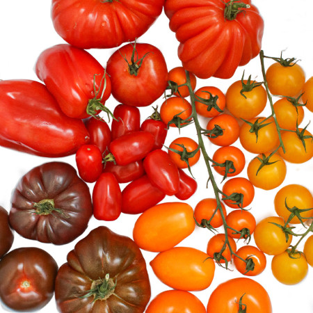 Isle of Wight Heritage/Heirloom Tomato Speciality