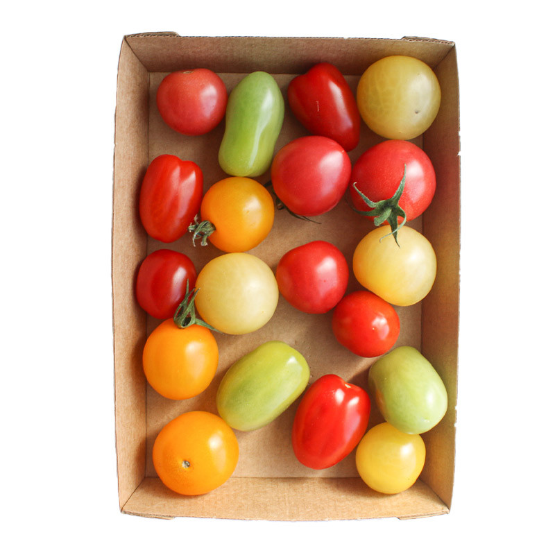 Isle of Wight Tomato Mix Cherry Speciality