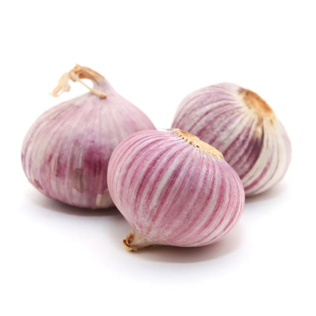 Garlic Solo