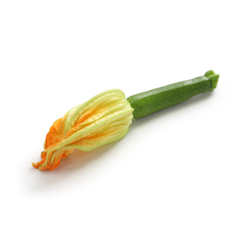 Courgette Flowers Female