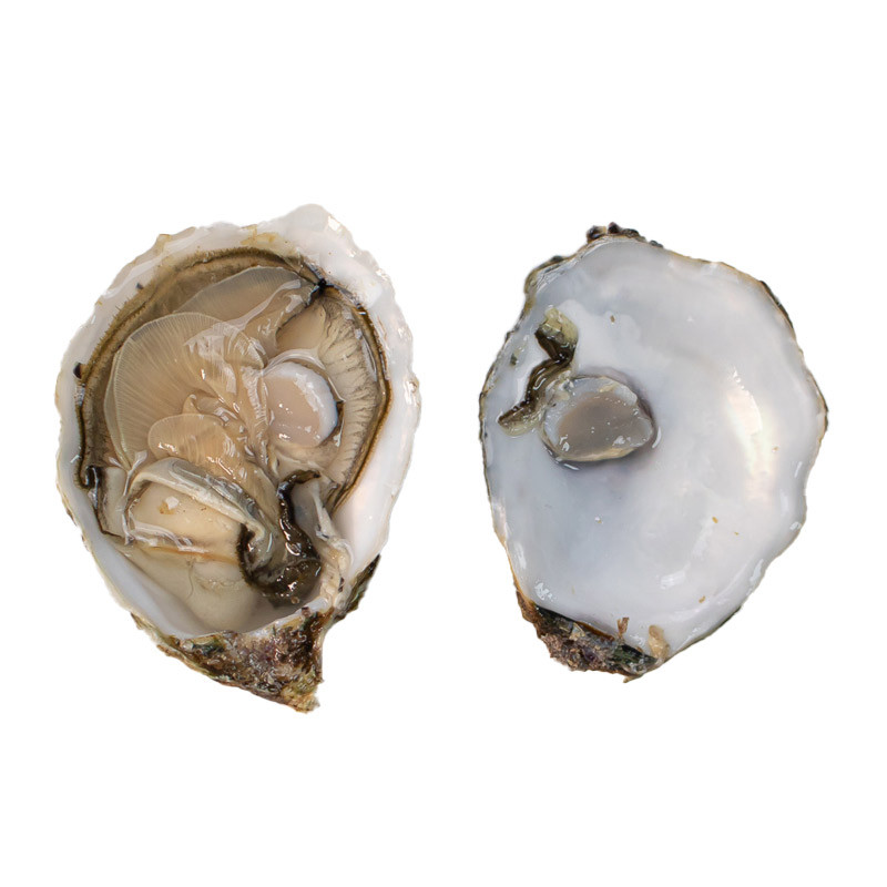 Tarbouriech Speciales Pink Oysters N.3