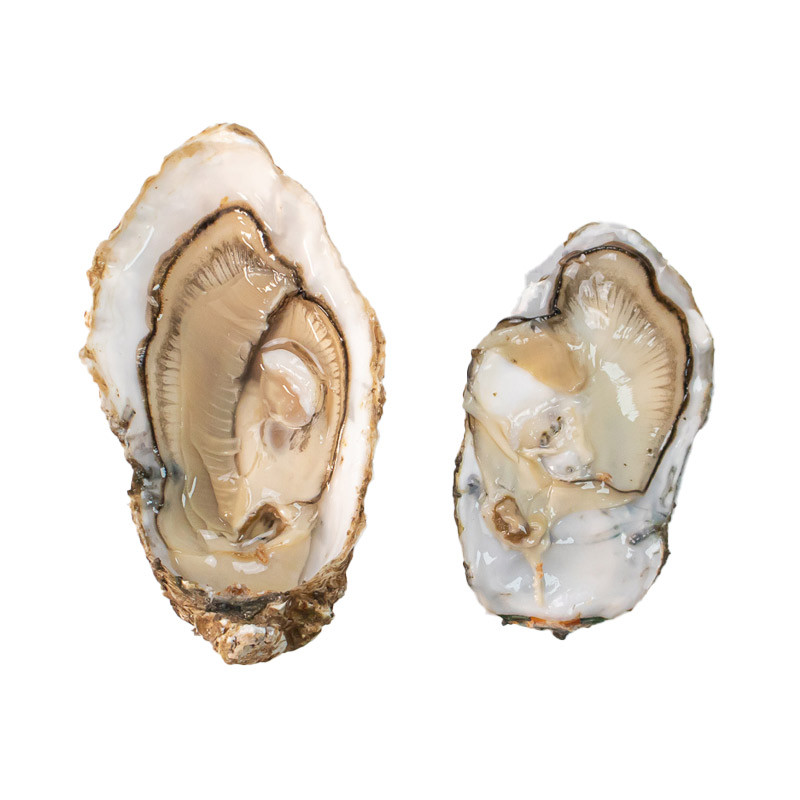 Prat-Ar-Coum Speciales Oysters N.2