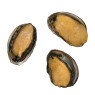 Fresh Abalone