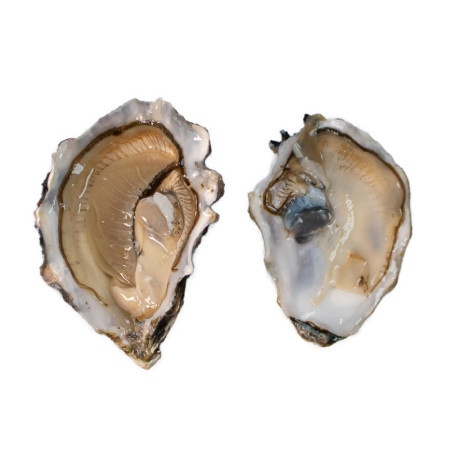 Tsarskaya Speciales Oysters N.3