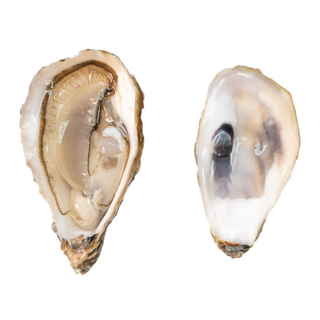 Speciales De Claire Marennes Oleron Oyster