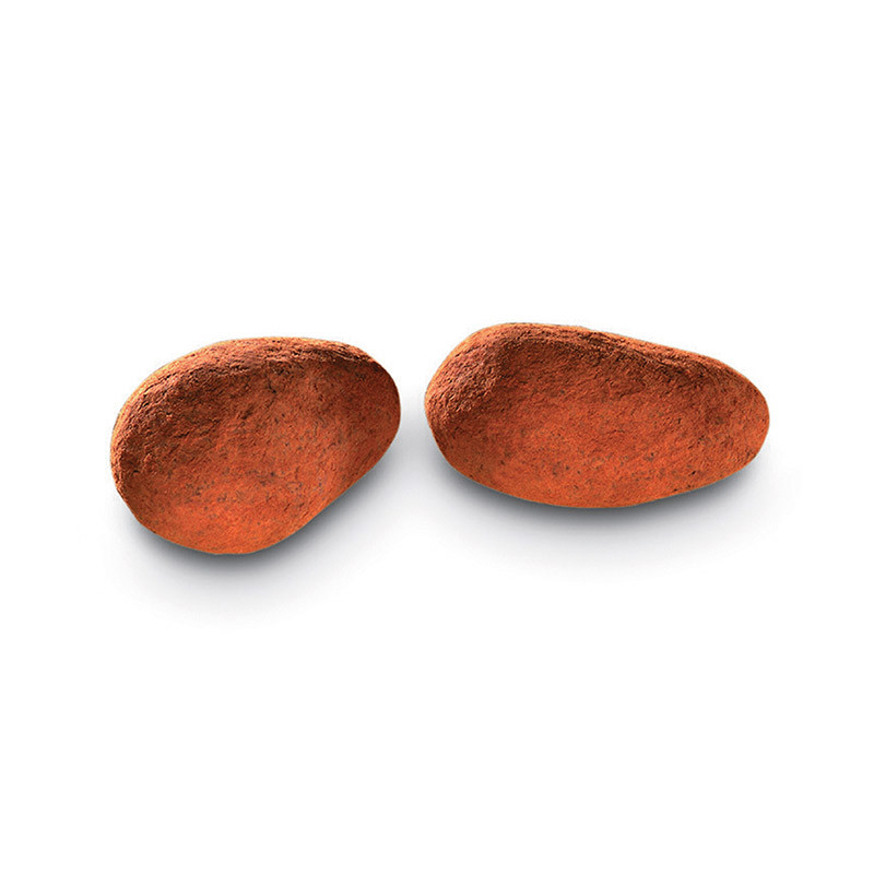 Gianduja & Cocoa Dusted Almonds