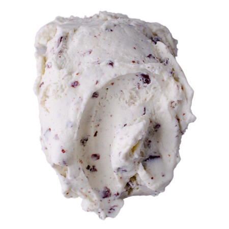 Ice Cream Union  Mint Chocolate Chip Ice-Cream