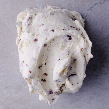 Ice Cream Union  Mint Chocolate Chip Ice-Cream