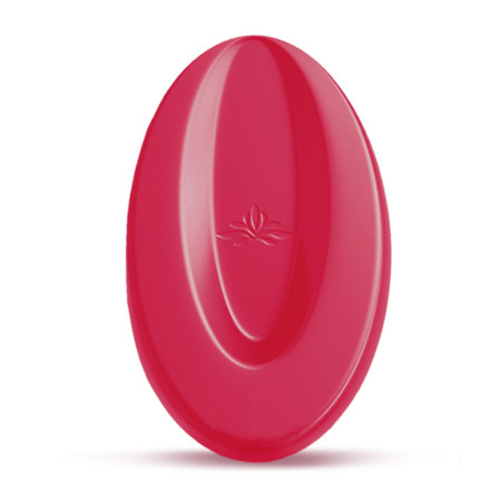 Valrhona Raspberry Inspiration Couverture