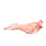 Axuria Whole Carcasse Milk Lamb Without Head With Liver/Speen/Lungs