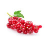 Redcurrants