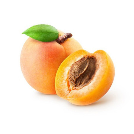 Apricot