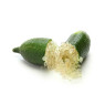 Lime Finger
