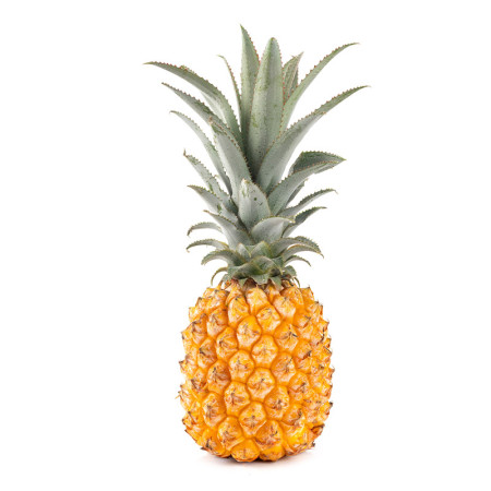 Victoria Pineapple