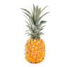 Victoria Pineapple
