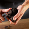Fresh Winter Truffles Pieces