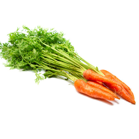 Baby Orange Carrot Bunch