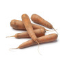 Sand Carrot