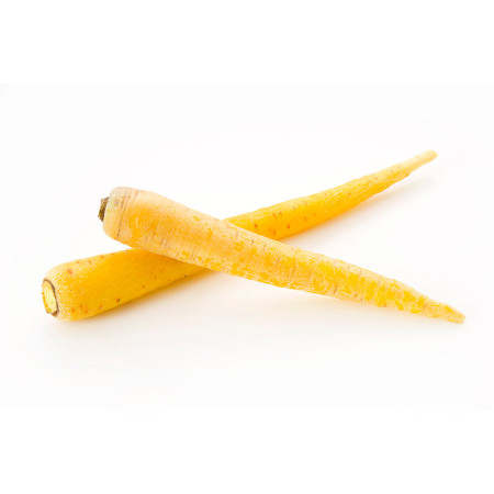 Yellow Carrot