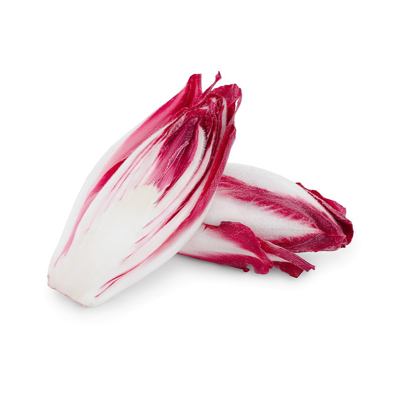 Red Chicory