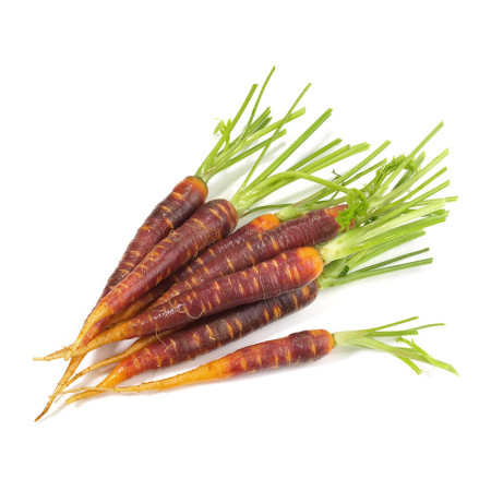 Baby Purple Carrot Bunch