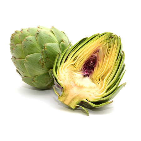 Globe Artichoke