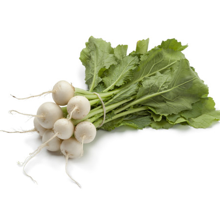 White Baby Radish