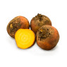 Golden Beetroot