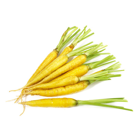 Baby Yellow Carrot Bunch