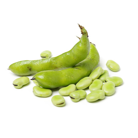 Broad Beans