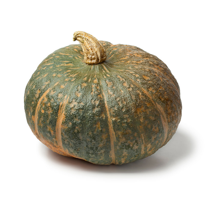 Delica Squash