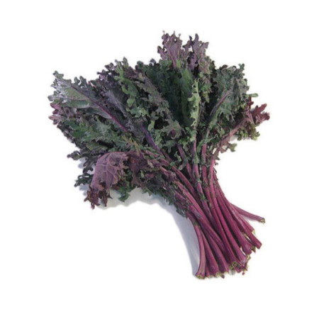 Red Kale