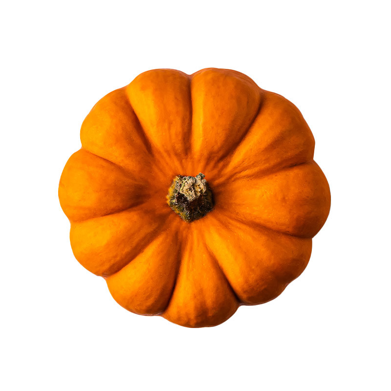 Muscade De Provence Pumpkin