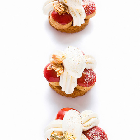 Ponthier Frozen Apricot Puree Bergeron 10% Sweetened