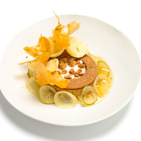 Frozen Crushed Candied Yuzu 22% Sugar