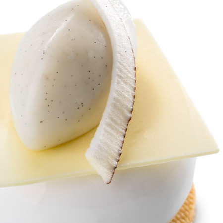 Eurovanille Vanilla Paste Planifolia Bourbon